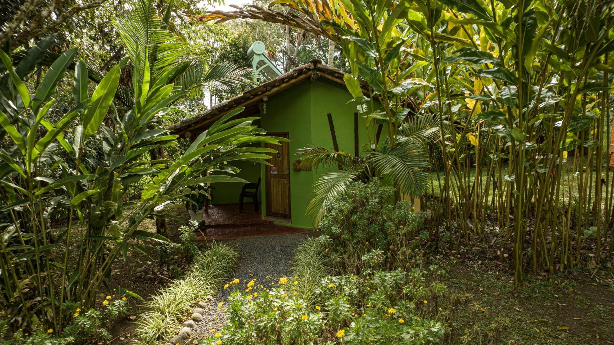 Finca Ecologica El Maco Сан-Агустин Номер фото